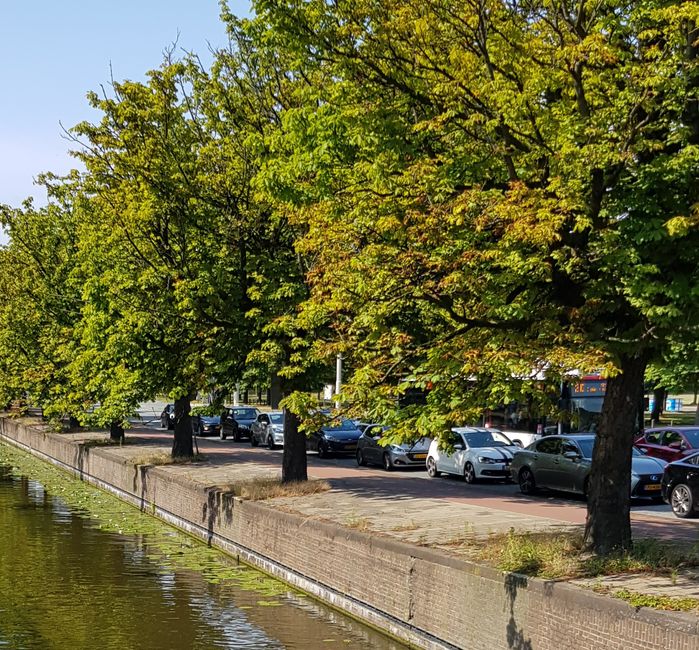 autolening in Hasselt