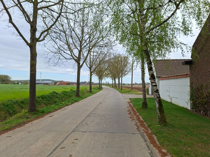 autolening in Kortrijk