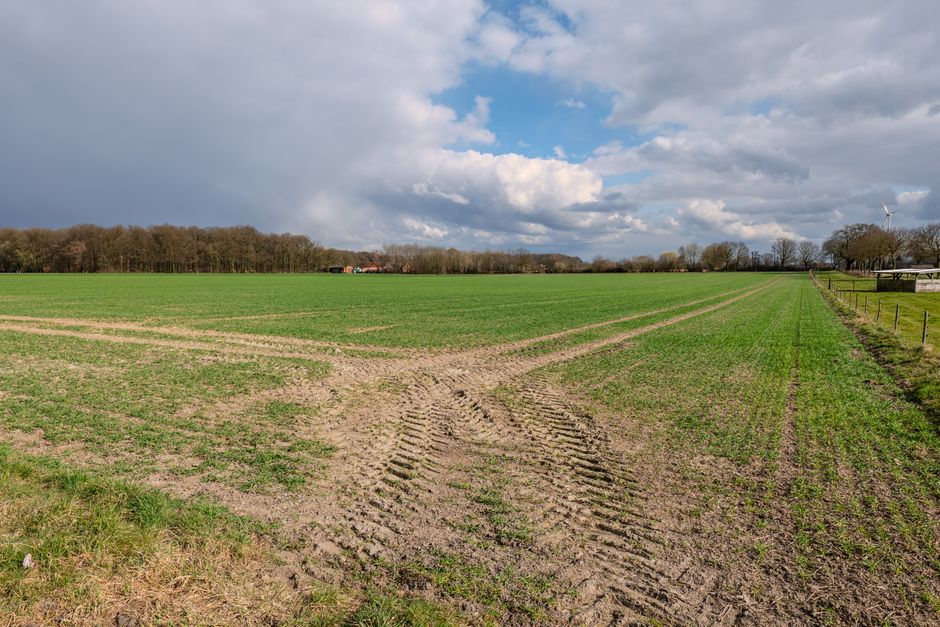 groene lening in Diest