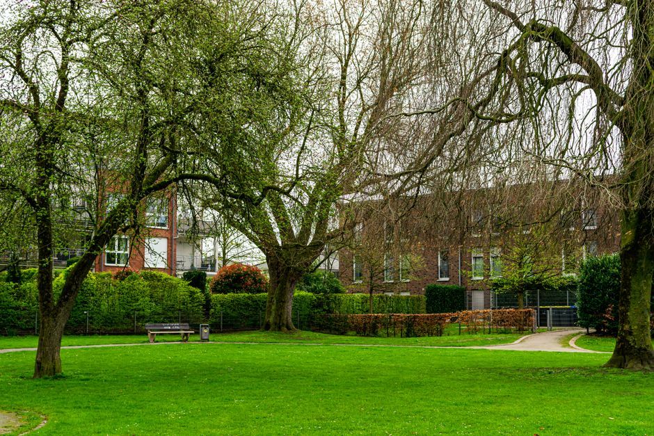 groene lening in Hasselt